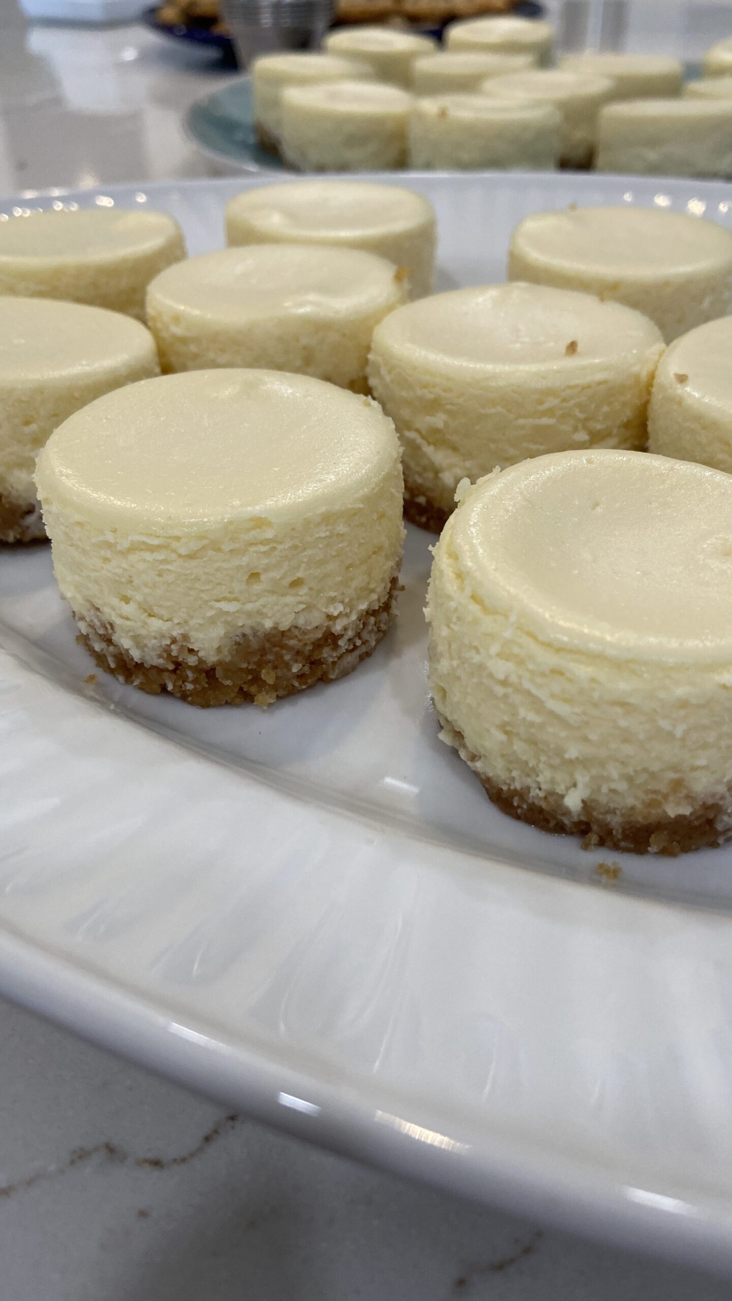 mini cheesecake pans